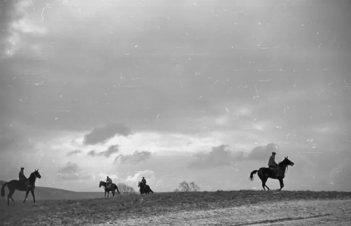 Framed Print : Training Gallop Framed Print : Training Gallop