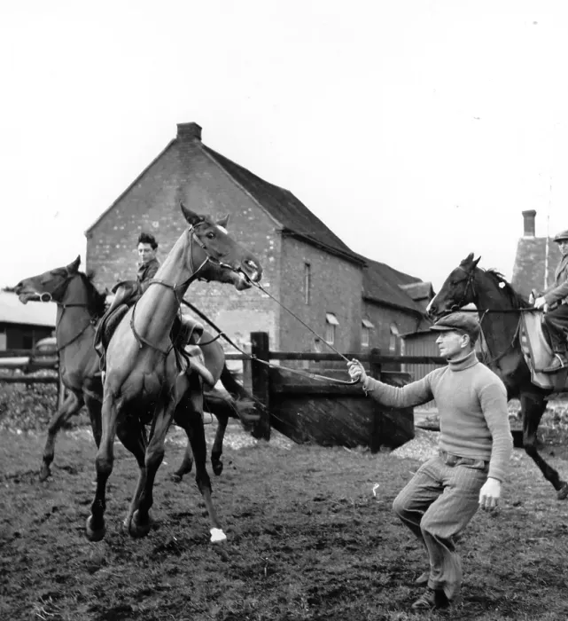 Framed Print : Training Horses Framed Print : Training Horses