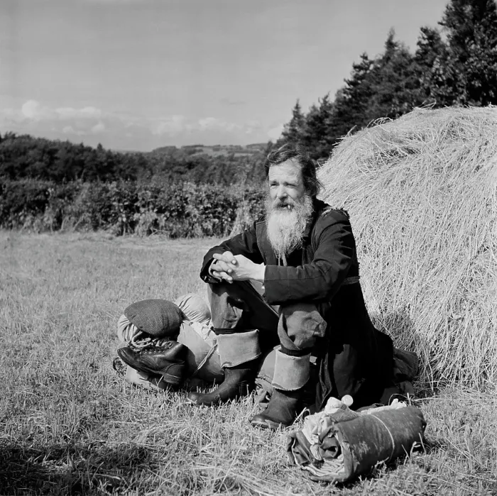 Framed Print : Tramp In Northumbria