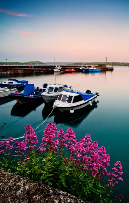 Framed Print : Tranquil. Sunset light adds to the feeling of tranquility over a port in