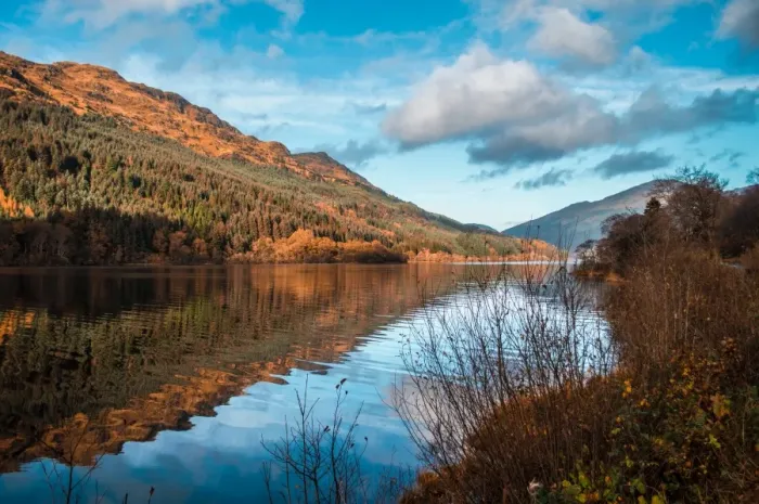 Framed Print : Tranquil Loch Eck in sunshine, Benmore Framed Print : Tranquil Loch Eck in sunshine, Benmore