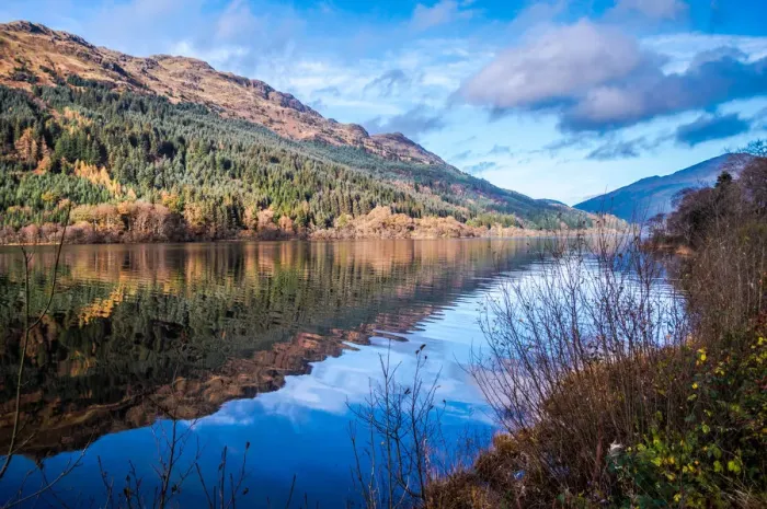 Framed Print : Tranquil Loch Eck in sunshine, Benmore, Cowal Framed Print : Tranquil Loch Eck in sunshine, Benmore, Cowal