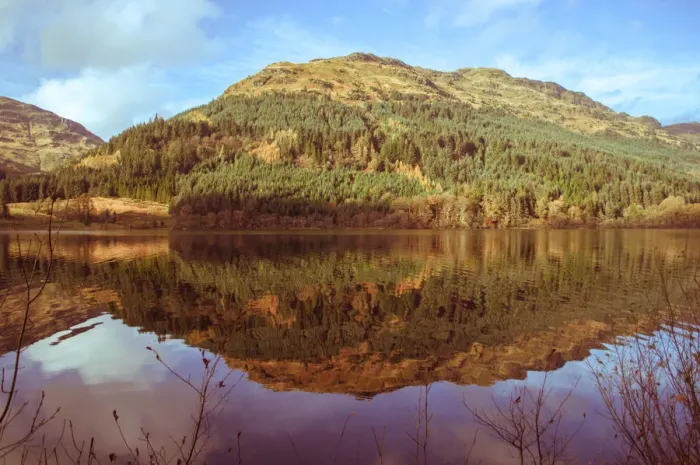 Framed Print : Tranquil Loch Eck in sunshine, Benmore, Cowal Framed Print : Tranquil Loch Eck in sunshine, Benmore, Cowal