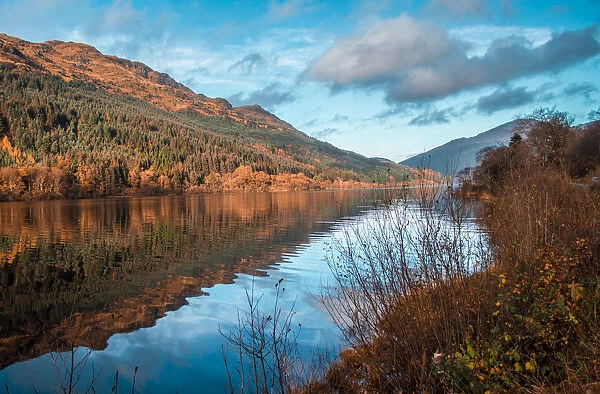 Tranquil Loch Eck in sunshine, Benmore, Cowal