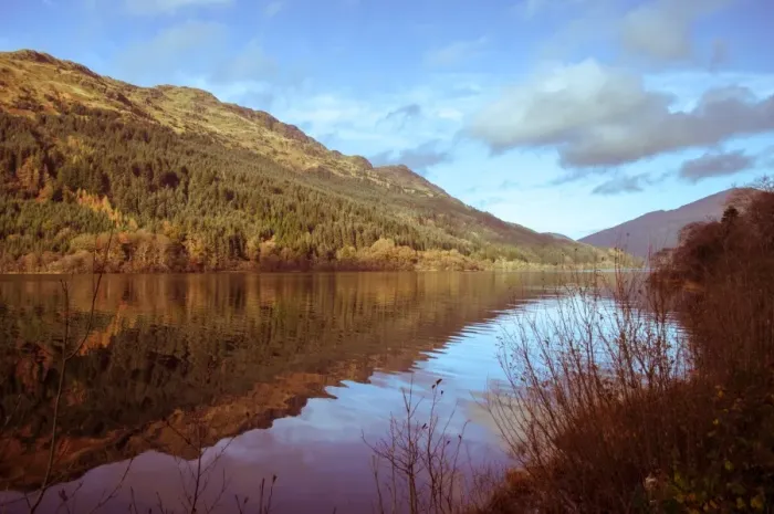 Framed Print : Tranquil Loch Eck in sunshine, Benmore, Cowal Framed Print : Tranquil Loch Eck in sunshine, Benmore, Cowal