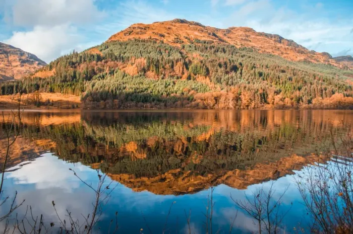 Framed Print : Tranquil Loch Eck in sunshine, Benmore, Cowal Framed Print : Tranquil Loch Eck in sunshine, Benmore, Cowal