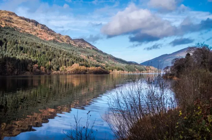 Framed Print : Tranquil Loch Eck in sunshine, Benmore, Cowal Framed Print : Tranquil Loch Eck in sunshine, Benmore, Cowal