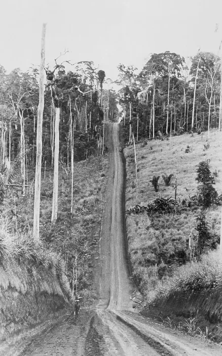 Framed Print : Trans-Amazon Highway