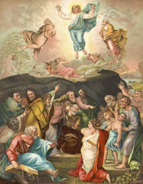 1892 Fine Art Storehouse Print of The Transfiguration Image. Art