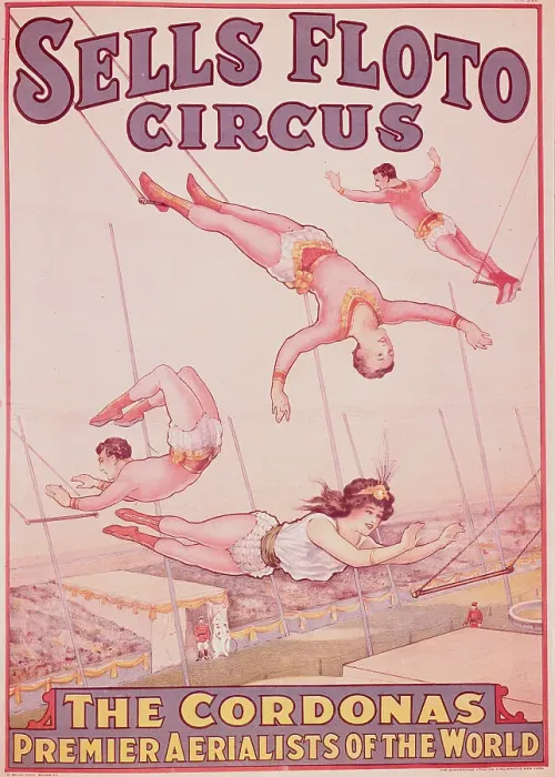 Framed Print : Trapeze Artists Displaying Their Talent Framed Print : Trapeze Artists Displaying Their Talent