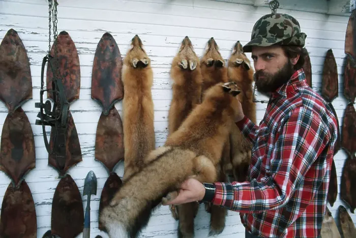 Framed Print : Trapper Displaying Furs Framed Print : Trapper Displaying Furs