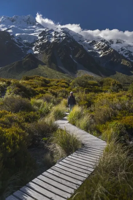 Framed Print : traveller trekking at Hooker valley, Mount Cook national park