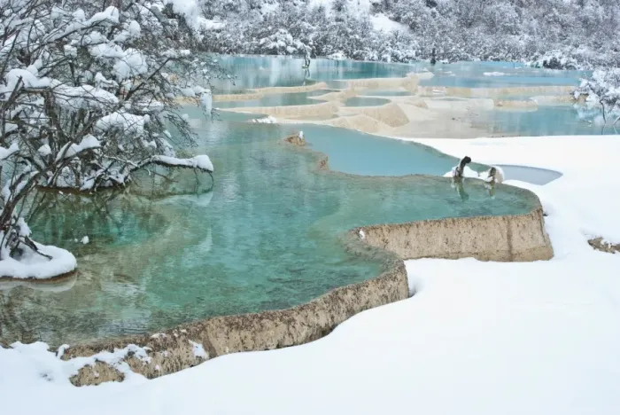 Framed Print : Travertine banks form Five-Colored Pool, Huanglong National Park, Sichuan Province, China Framed Print : Travertine banks form Five-Colored Pool, Huanglong National Park, Sichuan Province, China