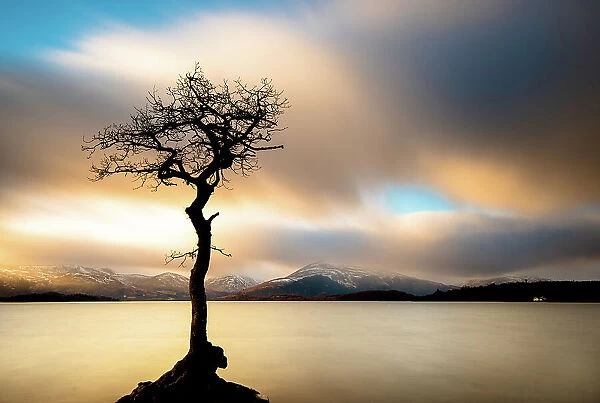 That tree. A long exposure photograph of a lone tree on the eastern shores
