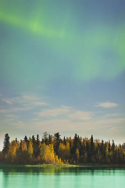 tree, autumn, fall color, sky, landscape, aurora borealis, lakeshore, forest, glowing