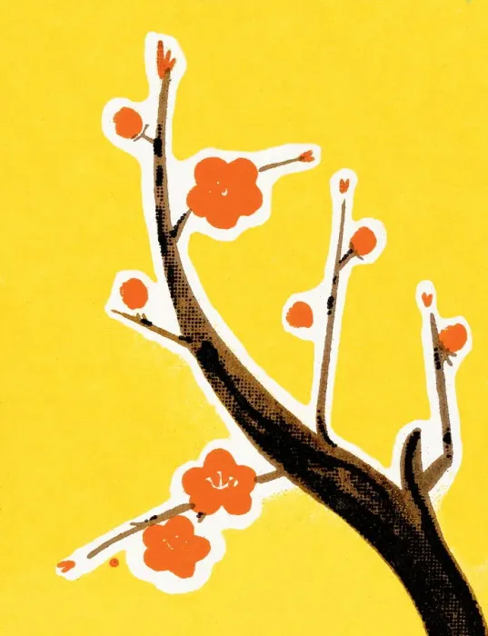 Framed Print : Tree Branch Framed Print : Tree Branch