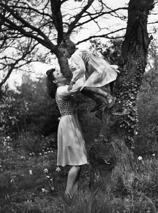 Framed Print : Tree Climbing Framed Print : Tree Climbing