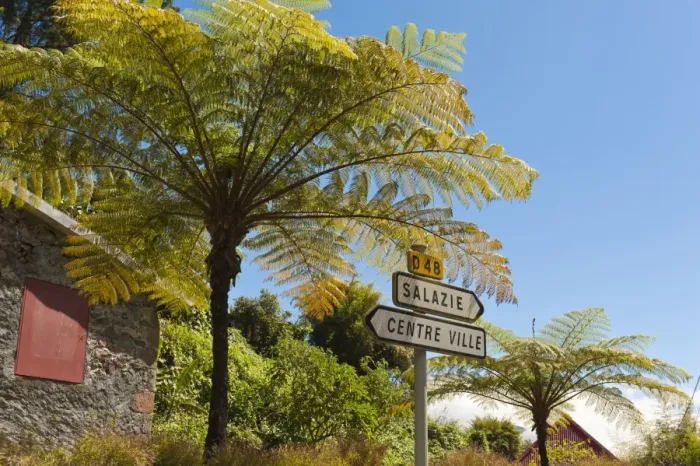 Framed Print : Tree ferns -Cyatheales- and direction signs, Hell-Bourg, Salazie, La Reunion, Reunion, France Framed Print : Tree ferns -Cyatheales- and direction signs, Hell-Bourg, Salazie, La Reunion, Reunion, France