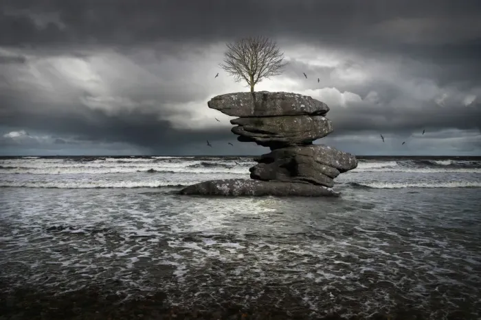 Framed Print : Tree on an island surrounded by the incoming tide Framed Print : Tree on an island surrounded by the incoming tide