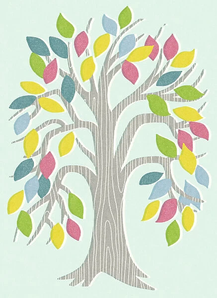 Tree With Multicolored Leaves