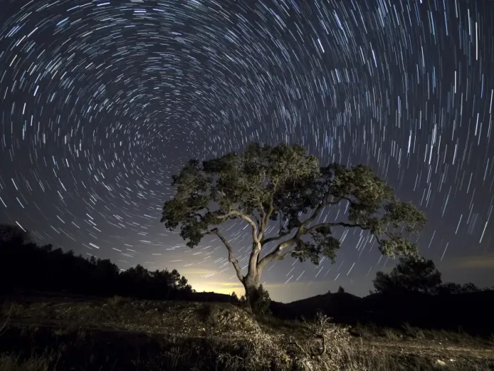 Framed Print : Tree, a night of clear sky with stars in movement Framed Print : Tree, a night of clear sky with stars in movement