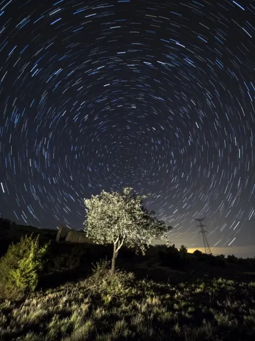Framed Print : Tree, a night of clear sky with stars in movement Framed Print : Tree, a night of clear sky with stars in movement