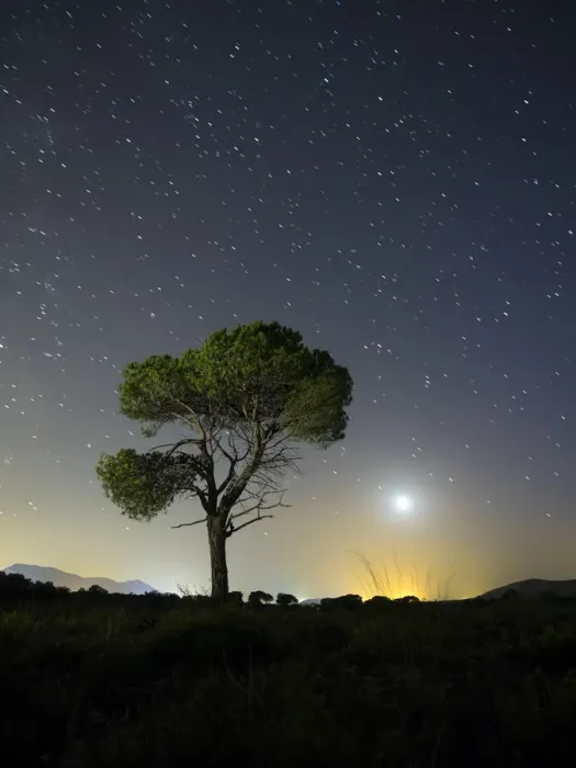Framed Print : A tree of alone pine in the mountain, a night of blue sky of full moon and stars Framed Print : A tree of alone pine in the mountain, a night of blue sky of full moon and stars