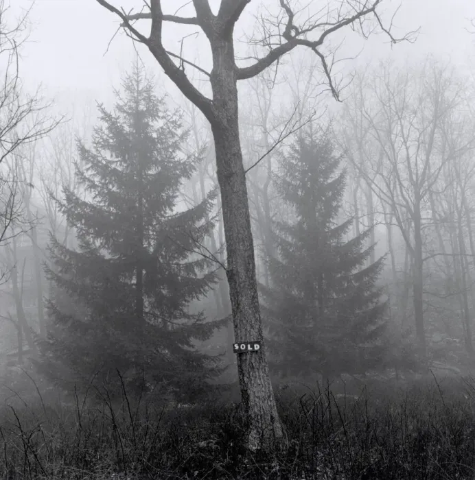Framed Print : Tree with sign on its trunk Framed Print : Tree with sign on its trunk