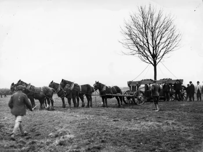 Framed Print : Tree Transplant