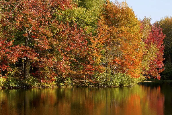 Trees in autumnal colours reflected in lake, Iron Hill, Quebec, Canada
