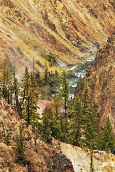 Framed Print : Trees and colorful patterns on canyon walls, Grand Canyon of Yellowstone, Yellowstone National Park, Montana, Wyoming, USA Framed Print : Trees and colorful patterns on canyon walls, Grand Canyon of Yellowstone, Yellowstone National Park, Montana, Wyoming, USA
