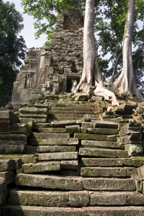 Framed Print : Trees growing from Angkor Thom Framed Print : Trees growing from Angkor Thom