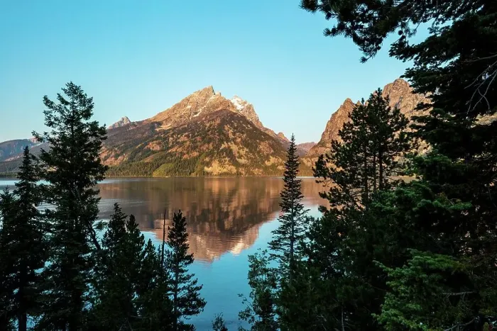 Framed Print : Through the Trees to Jenny Lake Framed Print : Through the Trees to Jenny Lake