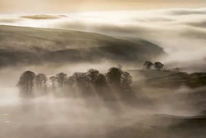 Framed Print : Trees in the mist, peak district landscape Framed Print : Trees in the mist, peak district landscape