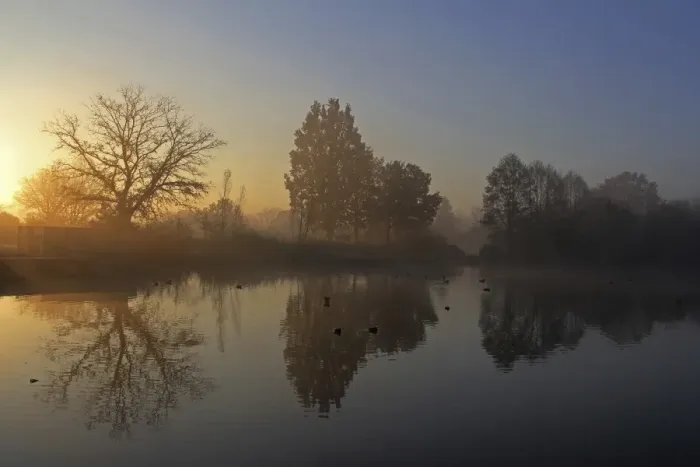 Framed Print : Trees on a pond at sunrise, early morning in November, Mittelberg, Biberach a. d. Riss, Upper Swabia, Baden-Wuerttemberg, Germany, Europe Framed Print : Trees on a pond at sunrise, early morning in November, Mittelberg, Biberach a. d. Riss, Upper Swabia, Baden-Wuerttemberg, Germany, Europe