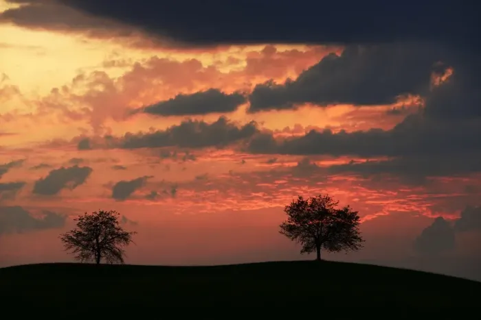 Framed Print : Trees silhouetted against a sky full of storm clouds, Hirzel, Canton of Zurich, Switzerland Framed Print : Trees silhouetted against a sky full of storm clouds, Hirzel, Canton of Zurich, Switzerland