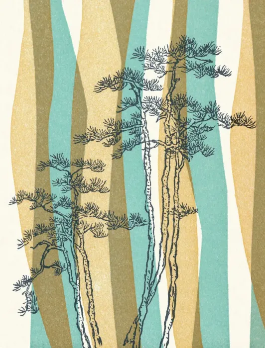 Framed Print : Trees on Stripe Framed Print : Trees on Stripe