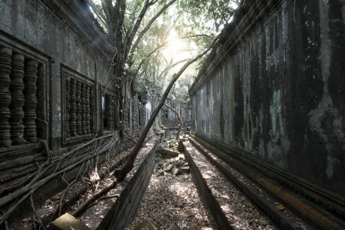Framed Print : Trees and Thick Brush Consuming the Remaining Walls and Windows at the Unrestored Beng Mealea Temple, Angkor, Cambodia
