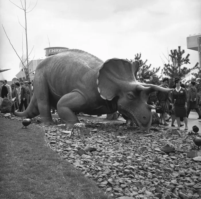 Framed Print : Triceratops model at jurassic park, (B&W)