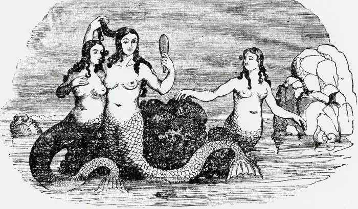 Framed Print : Trio Of Mermaids With Hand Mirror Framed Print : Trio Of Mermaids With Hand Mirror