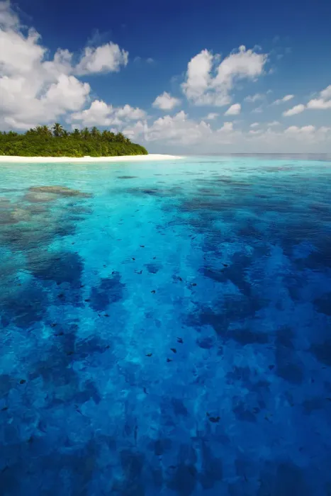 Framed Print : Tropical island and lagoon, maldives