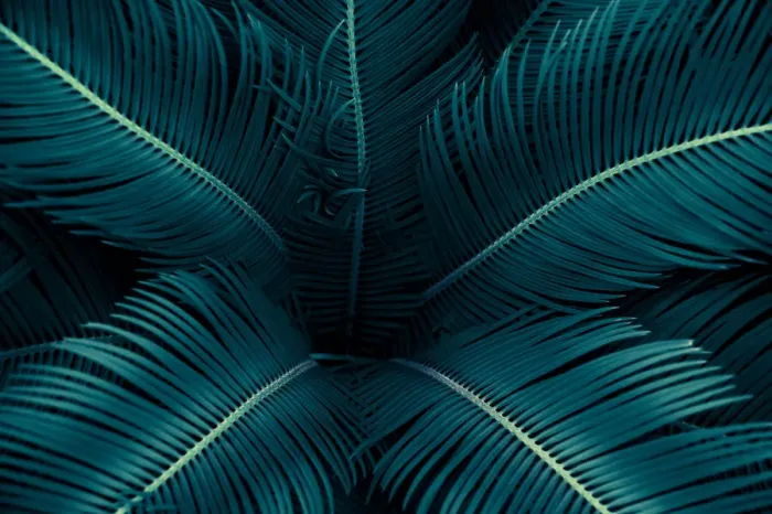 Framed Print : tropical leaves flower on dark tropical foliage nature background dark green foliage Framed Print : tropical leaves flower on dark tropical foliage nature background dark green foliage