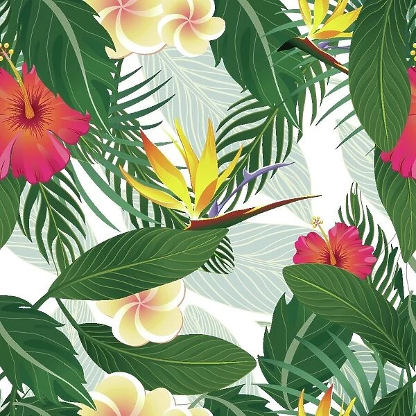 Tropical Pattern Isolated on White Background - Vector Illustration