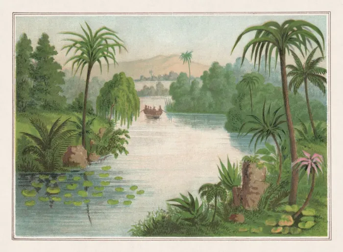 Framed Print : Tropical planting, chromolithograph, published in 1873 Framed Print : Tropical planting, chromolithograph, published in 1873