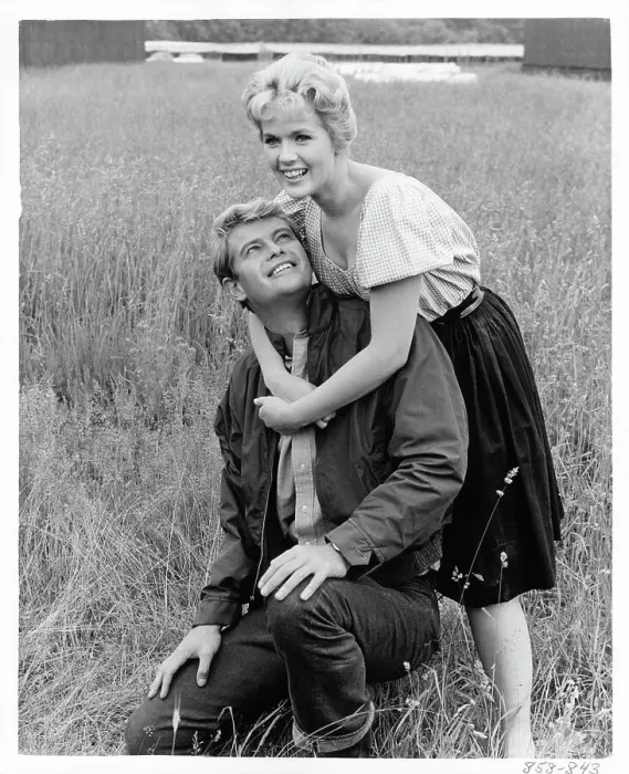 Framed Print : Troy Donahue And Connie Stevens In Parrish Framed Print : Troy Donahue And Connie Stevens In Parrish