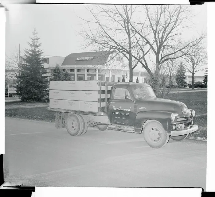 Framed Print : Truck Departing From a Mink Farm Framed Print : Truck Departing From a Mink Farm