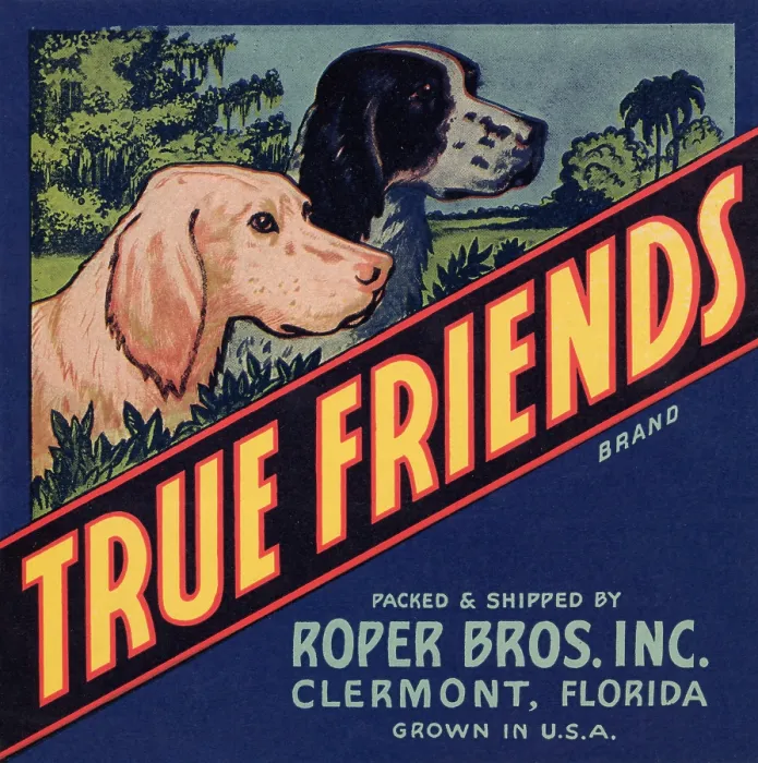 Framed Print : True Friends Framed Print : True Friends