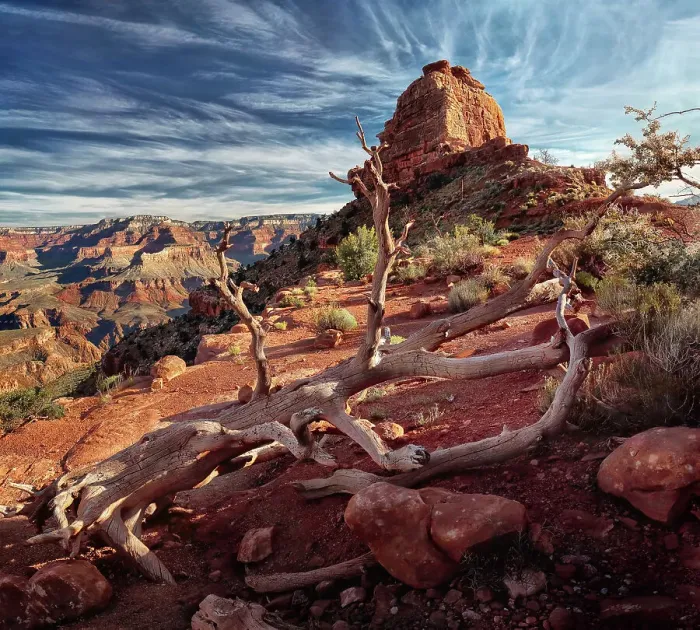 Framed Print : True Grit. Early morning on the South Kaibab Trail In Grand Canyon NP, Arizona Framed Print : True Grit. Early morning on the South Kaibab Trail In Grand Canyon NP, Arizona
