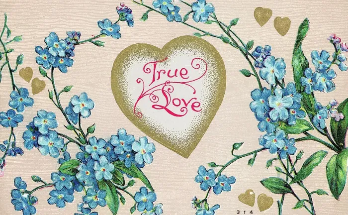 Framed Print : True Love Postcard with Flowers and a Heart Motif