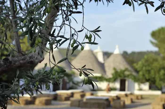 Framed Print : Trulli in countryside Framed Print : Trulli in countryside
